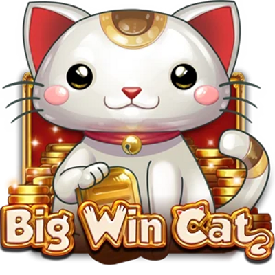 BIG WIN CAT image